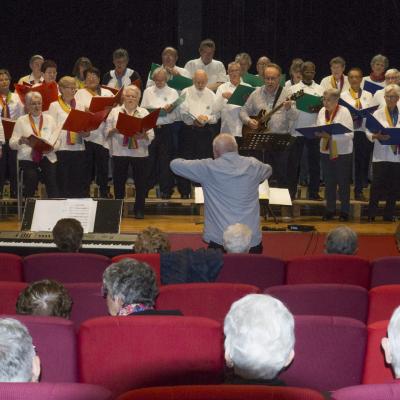 Retina 5 angles 2024